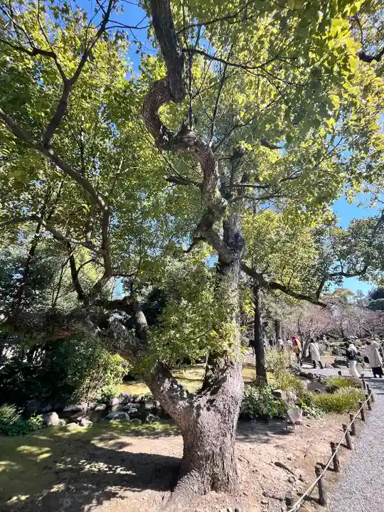 城南宮(京都府)