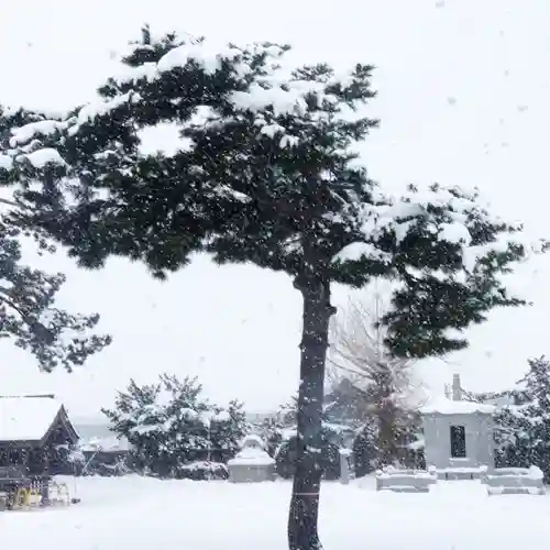 仁玄寺の自然