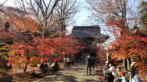 淨眞寺(東京都)