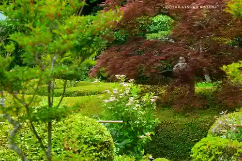 長壽寺（長寿寺）(神奈川県)