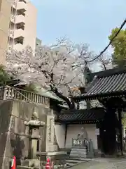 大阪天満宮の自然