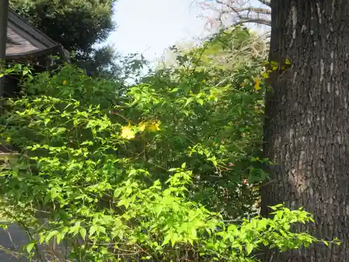 七社神社(東京都)