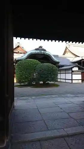 宝鏡寺の自然