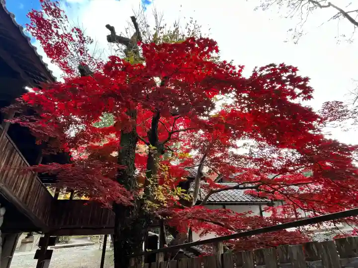 神峯山寺(大阪府)