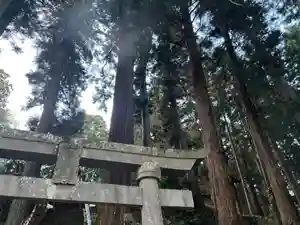 大宮温泉神社(栃木県)(2022年12月09日(金) 08時14分42秒投稿)