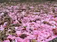 発寒神社の自然