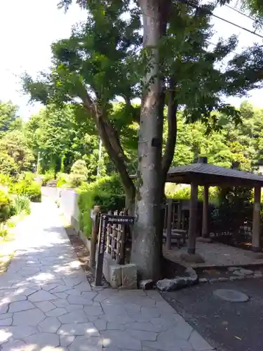 武蔵国分寺(東京都)