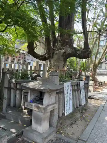 満足稲荷神社(京都府)