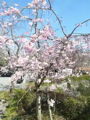 三嶋大社(静岡県)