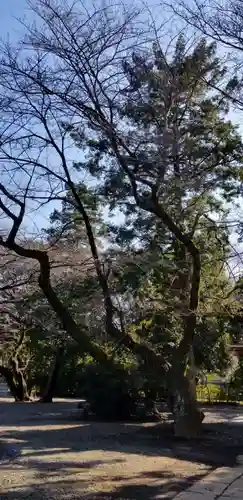 総寧寺のその他建物