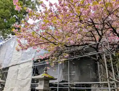 中尊寺(岩手県)