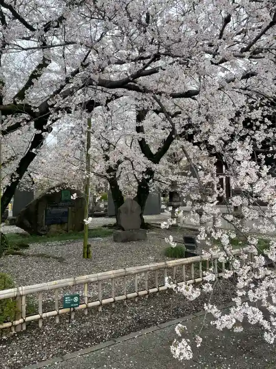 吉祥寺(東京都)