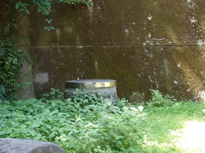 諏訪大神社(神奈川県)
