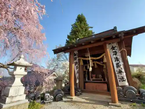金毘羅桜(福島県)
