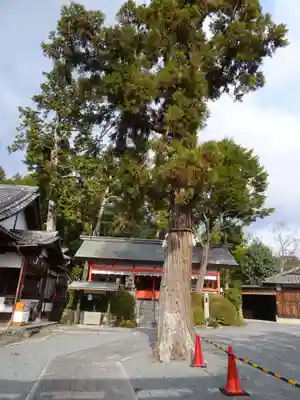 住吉大伴神社のその他建物