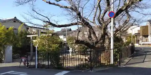 柊社(比良木社)(京都府)