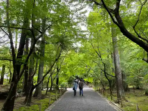 龍安寺(京都府)