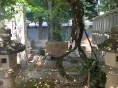 葛懸神社(岐阜県)