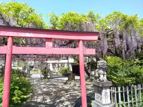 徳王稲荷社・金刀比羅社(愛知県)