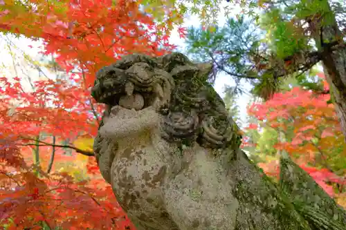 鍬山神社の狛犬