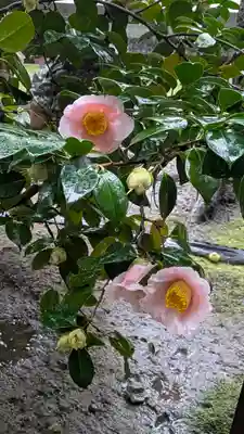 城南宮(京都府)