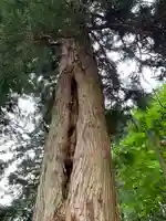 日枝神社(栃木県)