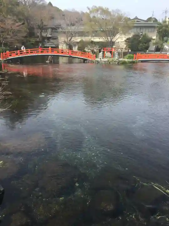 富士山本宮浅間大社(静岡県)