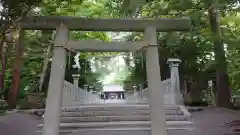 千歳神社の鳥居