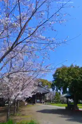 川和八幡神社(神奈川県)
