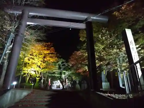 北広島市総鎮守　廣島神社の鳥居