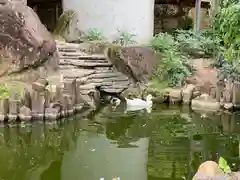 楽法寺（雨引観音）の庭園