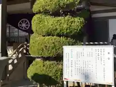 薬師院の本殿