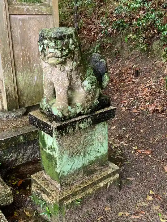 永井谷大歳神社の狛犬