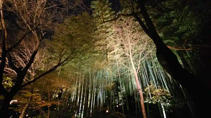 高台寺(高台寿聖禅寺・高臺寺)(京都府)