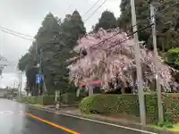 妙宣寺(千葉県)