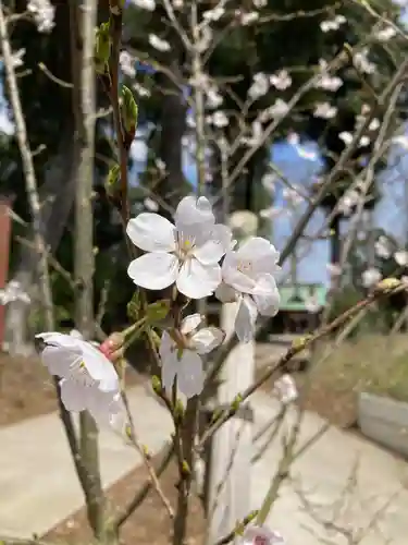 息栖神社の景色