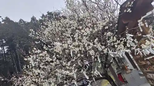 出雲大社京都分院(京都府)
