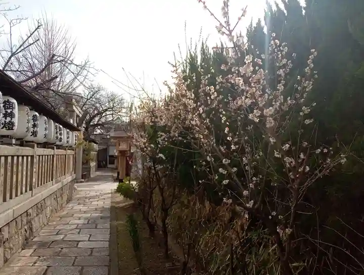 阿部野神社(大阪府)
