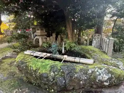 松尾寺(京都府)