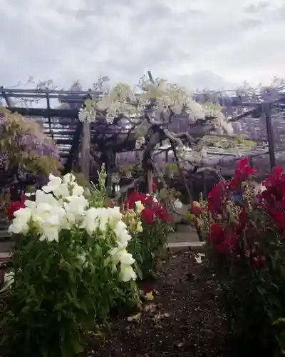 秋葉神社の自然