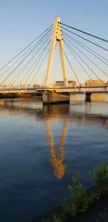 青龍神社の周辺