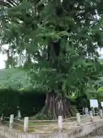 美奈宜神社の自然