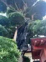 文殊院(千葉県)