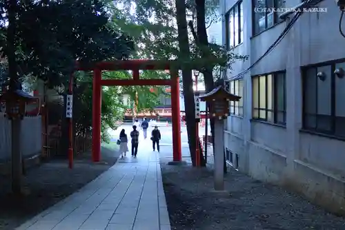 花園神社の鳥居
