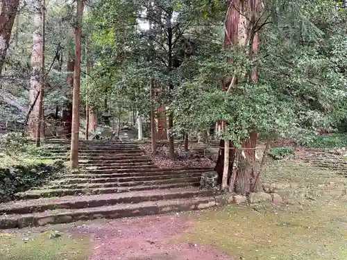 八幡宮來宮神社の自然
