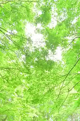 国上寺(新潟県)