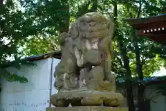 熊野福藏神社の狛犬