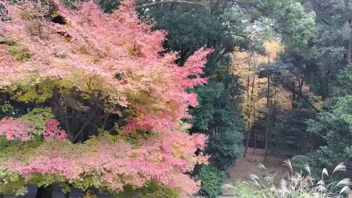 近江神宮(滋賀県)