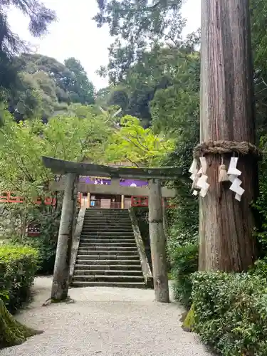 高鴨神社の鳥居