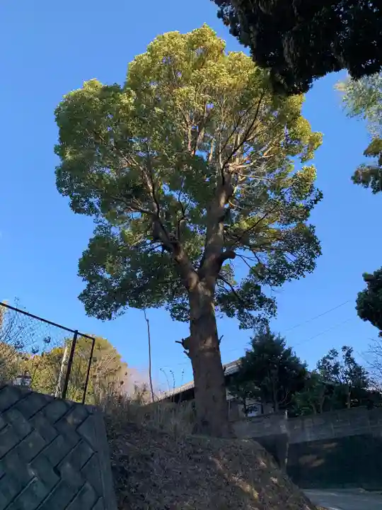 多門院(千葉県)